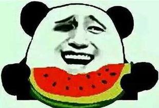 娱乐圈吃瓜群众是谁,揭秘明星背后的故事  第3张